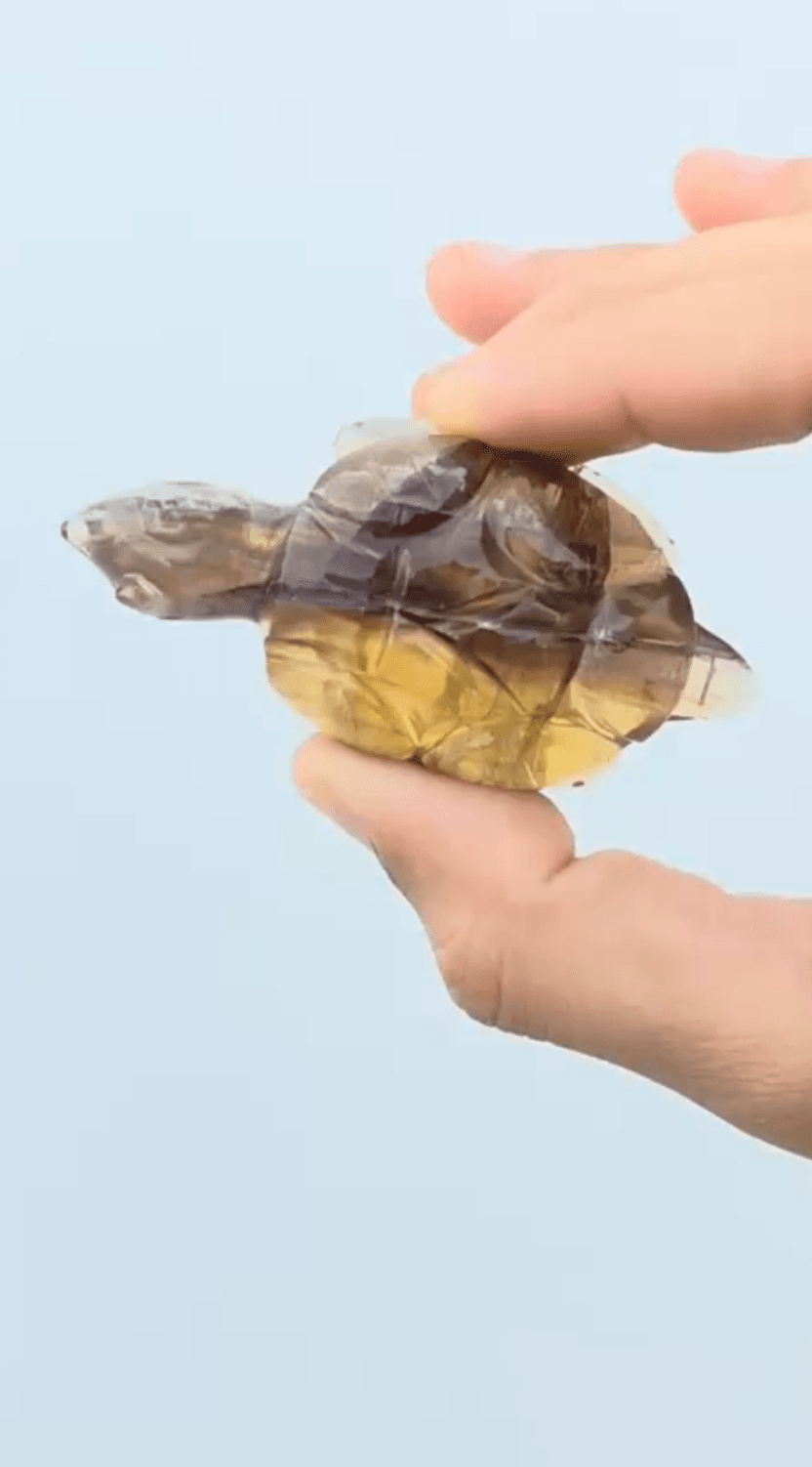 FLUORITE CARVED ANIMALS — MB Global Agate